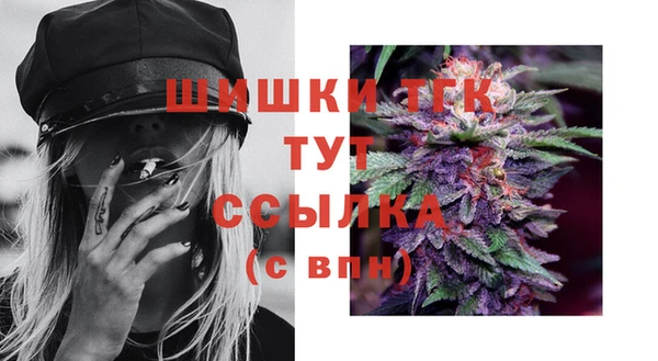 прущие грибы Ладушкин