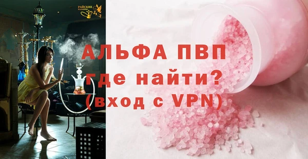 прущие грибы Ладушкин