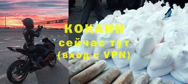 прущие грибы Ладушкин