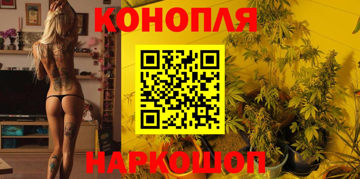 Каннабис план Новый Уренгой
